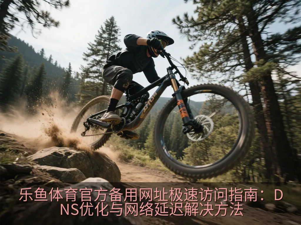 乐鱼体育官方备用网址极速访问指南：DNS优化与网络延迟解决方法